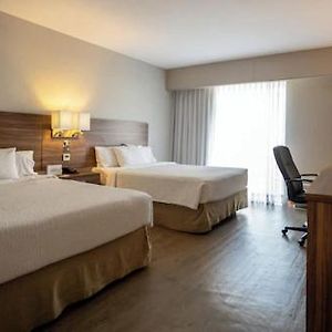 Classic Guest Room